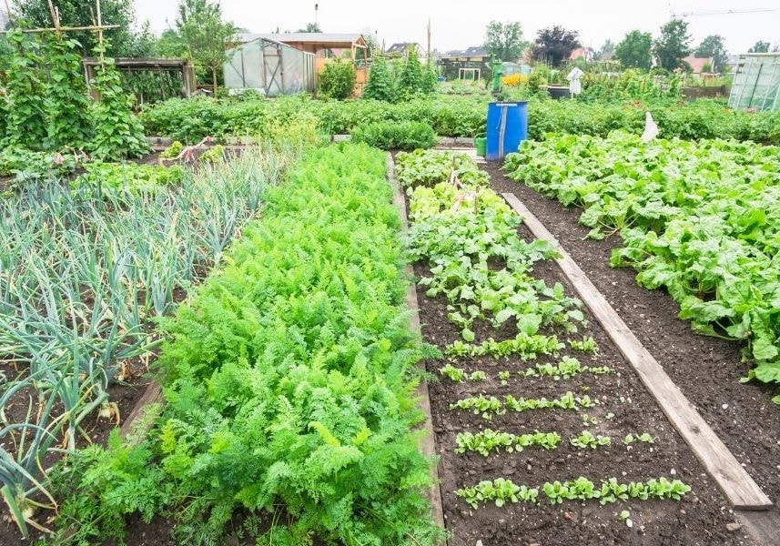 Elkészült az üzemméret számításhoz szükséges új STÉ kalkulátor