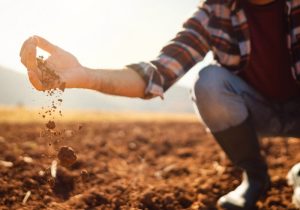 Tájékoztatás 2024. évi monitoring adatszolgáltatási kötelezettségről