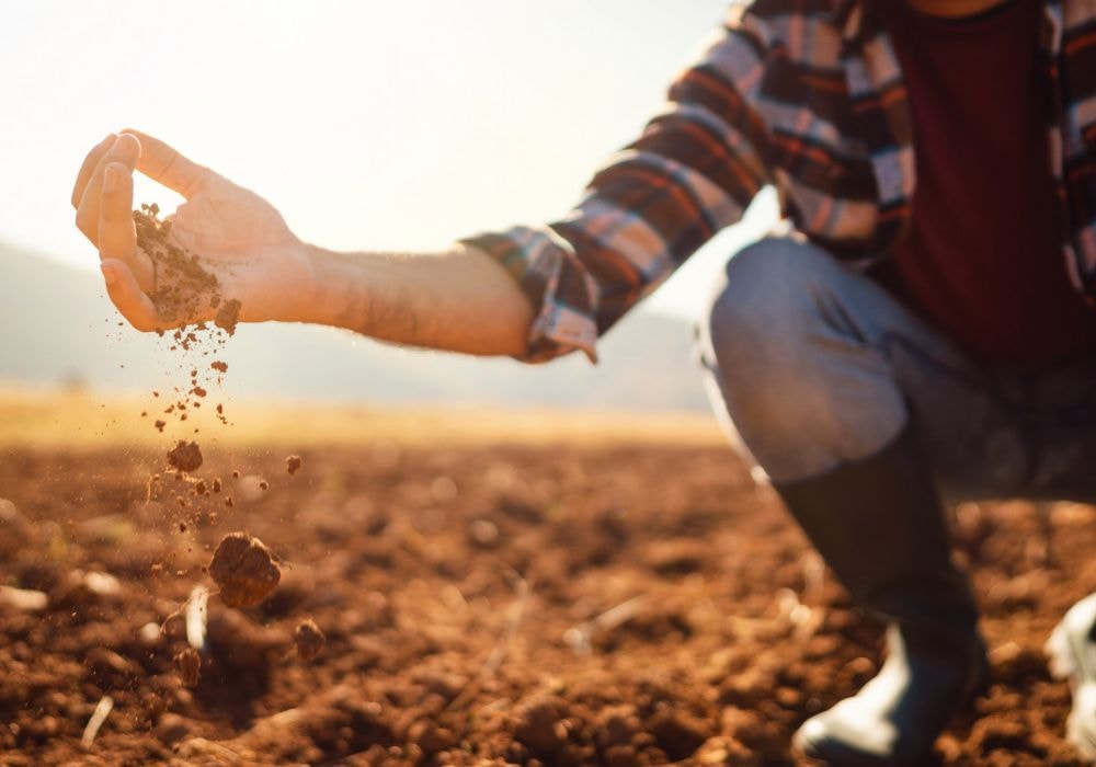 Tájékoztatás 2024. évi monitoring adatszolgáltatási kötelezettségről