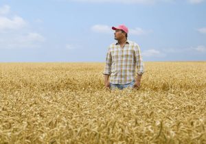Mezőgazdasági kisüzemek beruházási támogatása