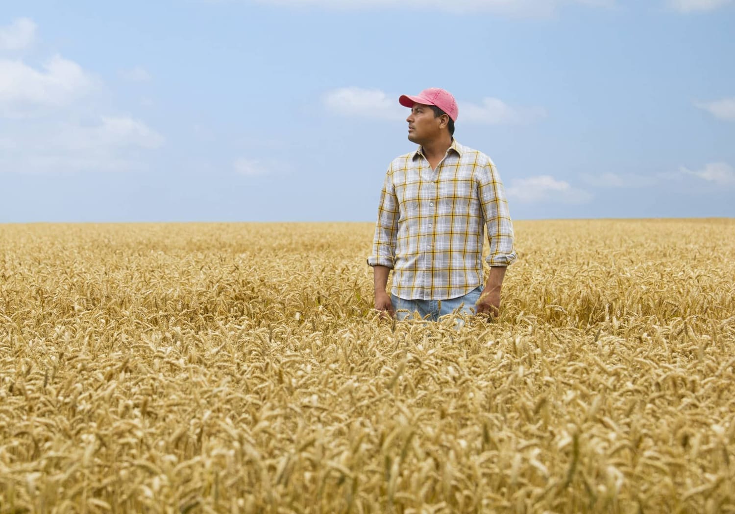 Mezőgazdasági kisüzemek beruházási támogatása