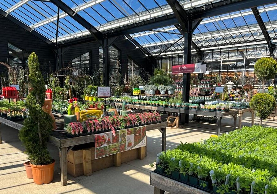 Díszkertészeti ágazat kisvállalkozásainak támogatása