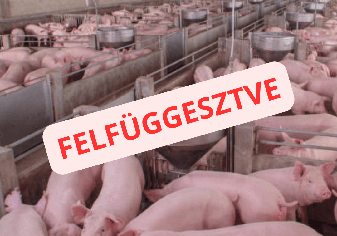 Állattartó telepek fejlesztésének támogatása „NAGY ÁTK” pályázat