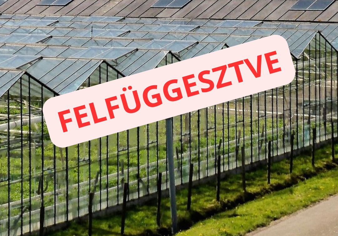 Kertészeti üvegházakhoz, hűtőházakhoz kapcsolódó, és postharvest fejlesztések támogatása