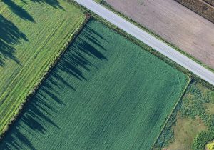 Tavasszal indul a pályázati hullám