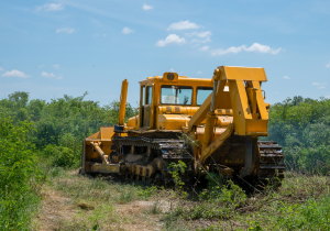 Talajtakarás 2025 - Gazdagrow agrár hírek, mezőgazdasági szaktanácsadás, növényvédelem