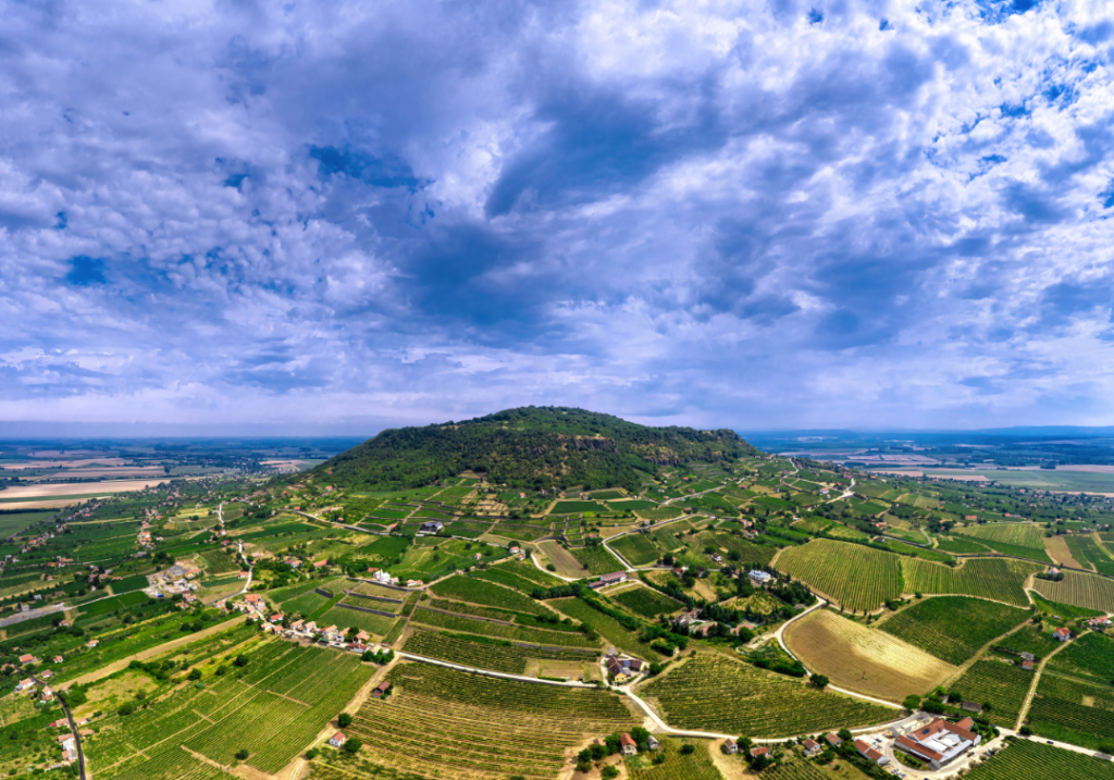 Kincstári levelek Gazdagrow Mezőgazdasági tanácsadás Agrár pályázat