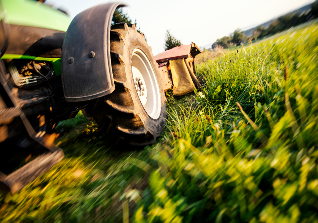 Kaszálások időpontjaival összefüggő elvárások a 2025-ös gazdálkodási évben Gazdagrow agrár hírek mezőgazdasági és növényvédelmi szaktanácsadás