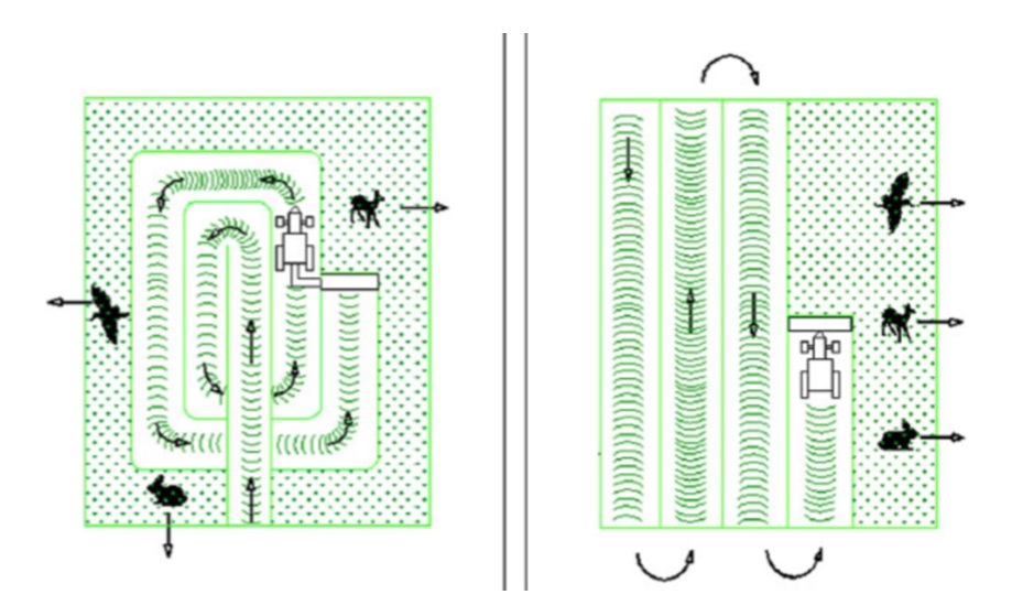 madárbarát/ kiszorító kaszálás gazdagrow mezőgazdasági pályázatok és szaktanácsadás növényorvos növényvédelem