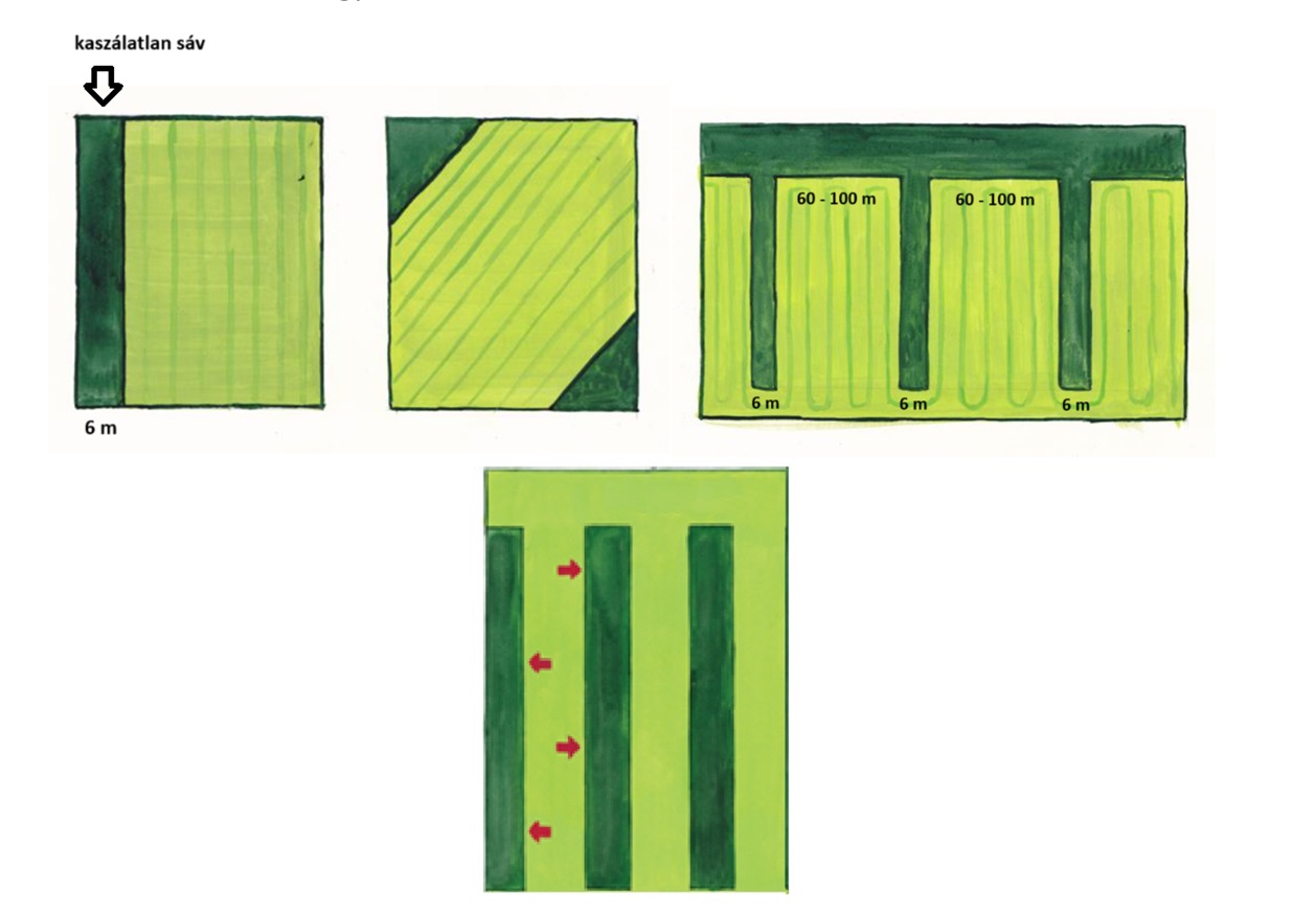 példák kaszálatlan sávhagyásra Gazdagrow ahol a gazda jár jól!
