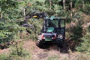 KAP-RD40-RD12-1-26 erdőgazdálkodás támogatás