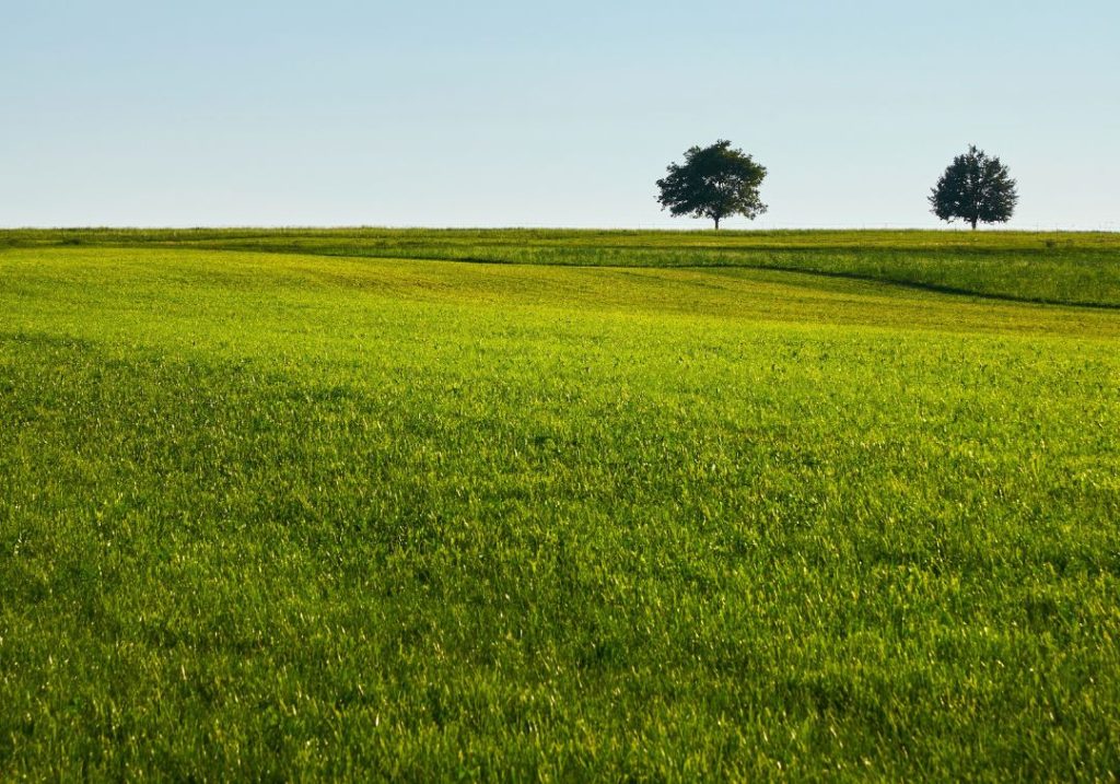 Az Agro-ökológiai Program (AÖP) gyakorlatainak legfontosabb tudnivalói a tudatos tervezéshez_2 rész