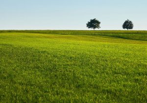Az Agro-ökológiai Program (AÖP) gyakorlatainak legfontosabb tudnivalói a tudatos tervezéshez_2 rész