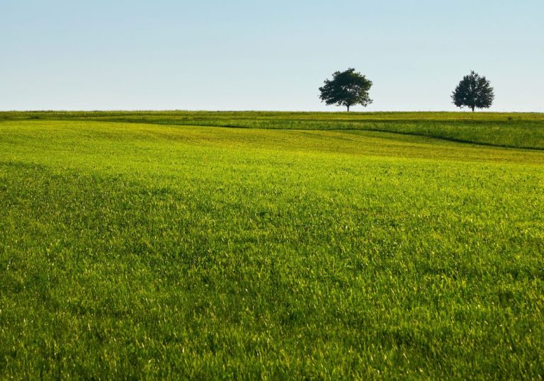 Az Agro-ökológiai Program (AÖP) gyakorlatainak legfontosabb tudnivalói a tudatos tervezéshez_2 rész