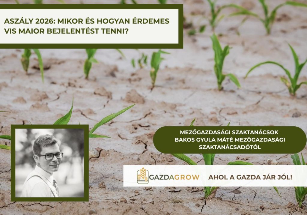 A klímaváltozás miatt egyre fontosabb a megfelelő növényválasztás. Bemutatjuk azokat a takarmánynövényeket, amelyek száraz körülmények között is megbízható termést adhatnak.