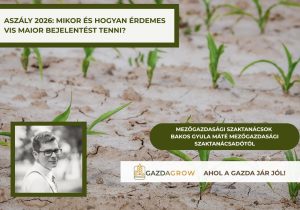 A klímaváltozás miatt egyre fontosabb a megfelelő növényválasztás. Bemutatjuk azokat a takarmánynövényeket, amelyek száraz körülmények között is megbízható termést adhatnak.