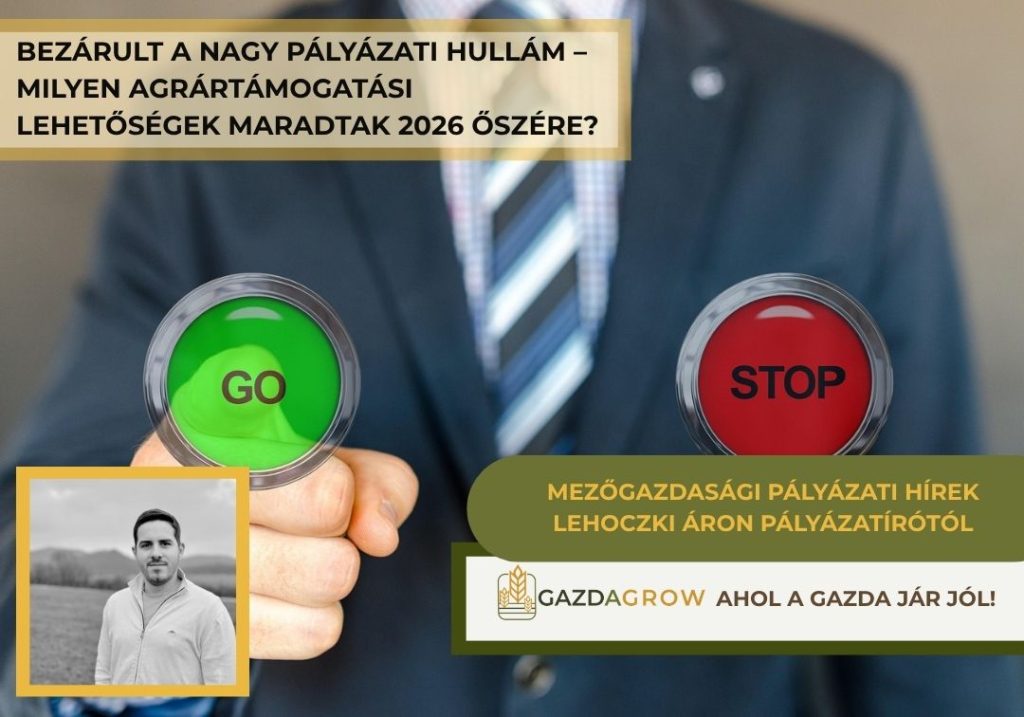 Agrártámogatások 2026 őszén: milyen pályázatok maradtak?
