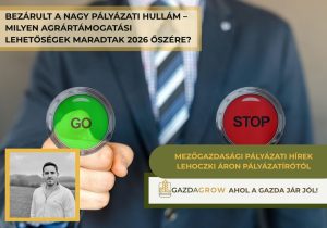 Agrártámogatások 2026 őszén: milyen pályázatok maradtak?